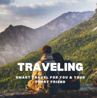 Traveling: Smart Travel for You
