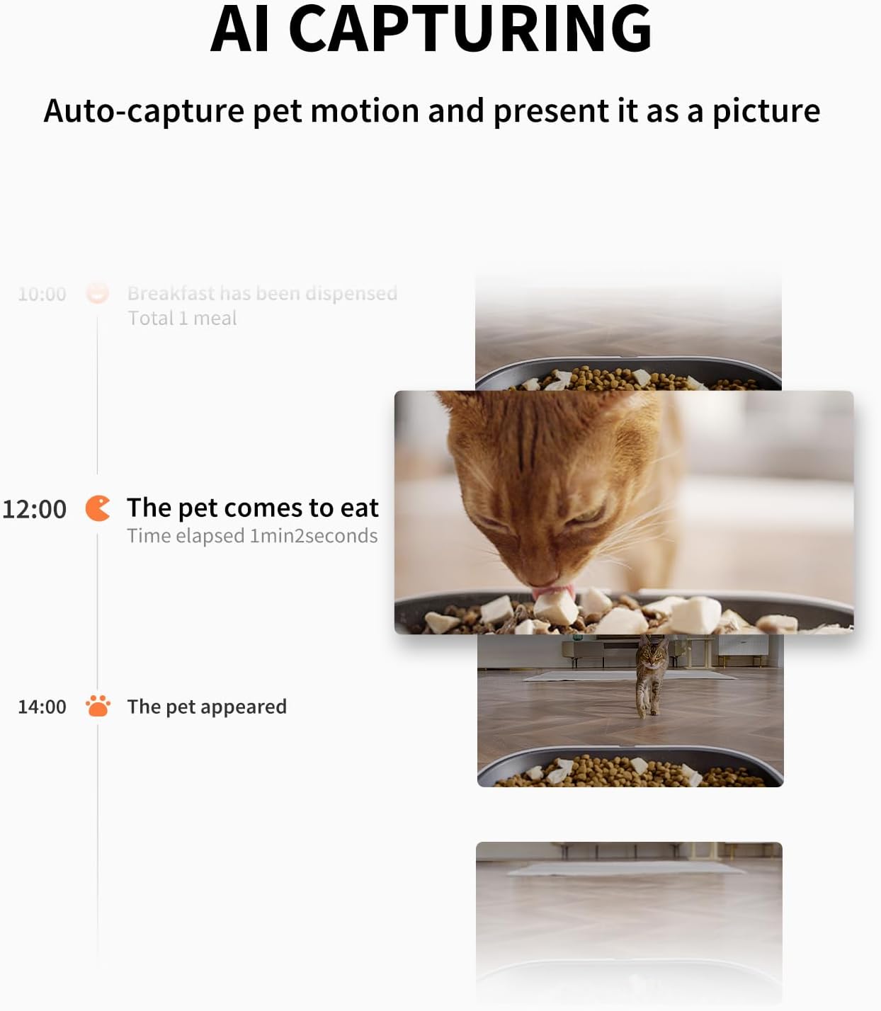PETKIT - Automatic Feeder